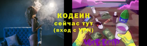 альфа пвп Гусев