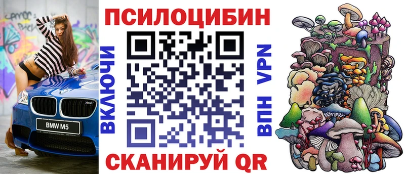 Галлюциногенные грибы Psilocybe  хочу наркоту  Волгодонск 